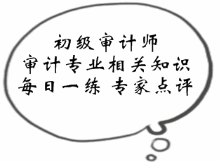 初級審計師《審計專業相關知識》易錯題點評