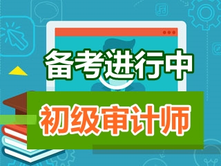 初級審計師《審計專業相關知識》知識點