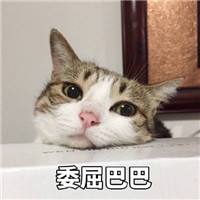注冊會計師全國統一考試網上報名系統已經關閉