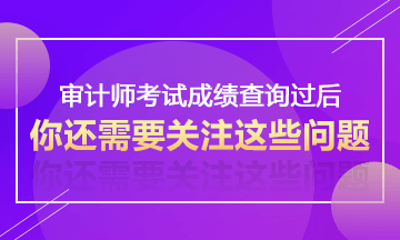 2017年審計師考試成績查詢過后不得不關注的事情—考后資格審核
