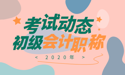 湖南岳陽2020會計初級考試大綱