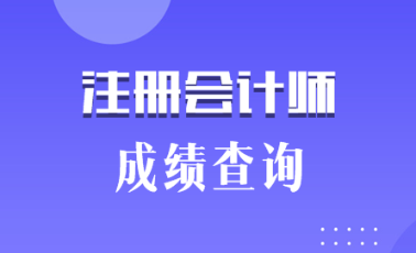 2019海南三亞注會成績什么時(shí)候出來？