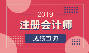 2019年廣西南寧注會成績查詢網(wǎng)址是哪個？