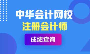 北京2019年注會官網(wǎng)成績查詢?nèi)肟诤螘r(shí)開啟？