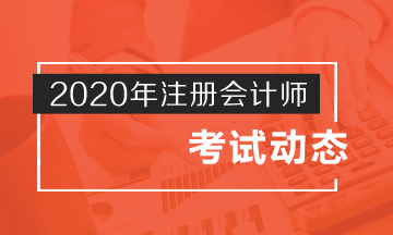 山西的同學了解2020年注冊會計師考什么內容嗎？