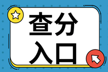 中級經濟師成績查詢入口