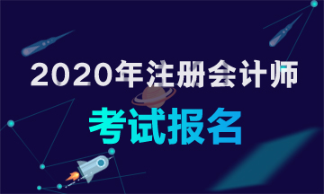 2020年注冊會計師全國統一考試網上報名電子照片格式