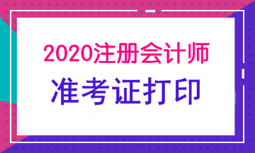 河南2020CPA準(zhǔn)考證下載打印時間