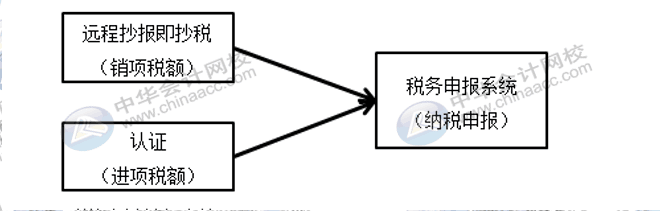 每月征期該怎么抄報(bào)呢？步驟來(lái)了~