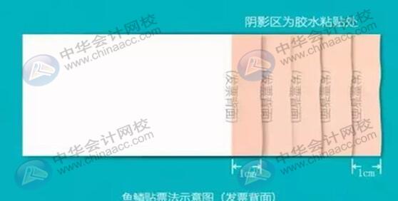 報銷時粘貼發票的那些小技巧你知道嗎？會計上崗必備！