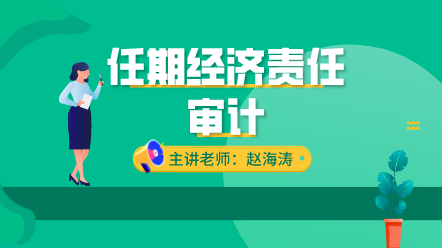 任期經濟責任審計