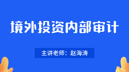 442境外投資內部審計