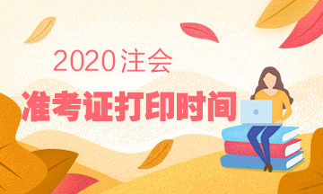 2020年青海CPA準考證打印時間是？