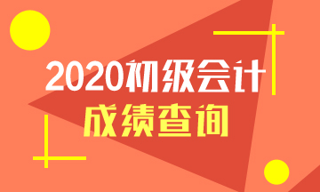 寧夏2020年初級會計成績查詢網址是什么？
