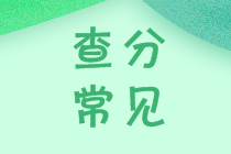 2020中級(jí)會(huì)計(jì)查分在即！你做好這些準(zhǔn)備了嘛？