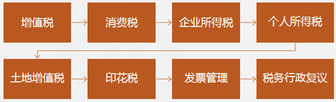 稅務(wù)師涉稅服務(wù)實務(wù)重點