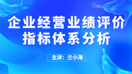 企業經營業績評價指標體系分析 (1)