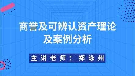 商譽及可辨認資產理論及案例分析