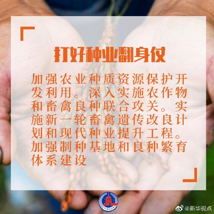 干貨滿滿！2021年中央一號文件發布，有哪些硬舉措？