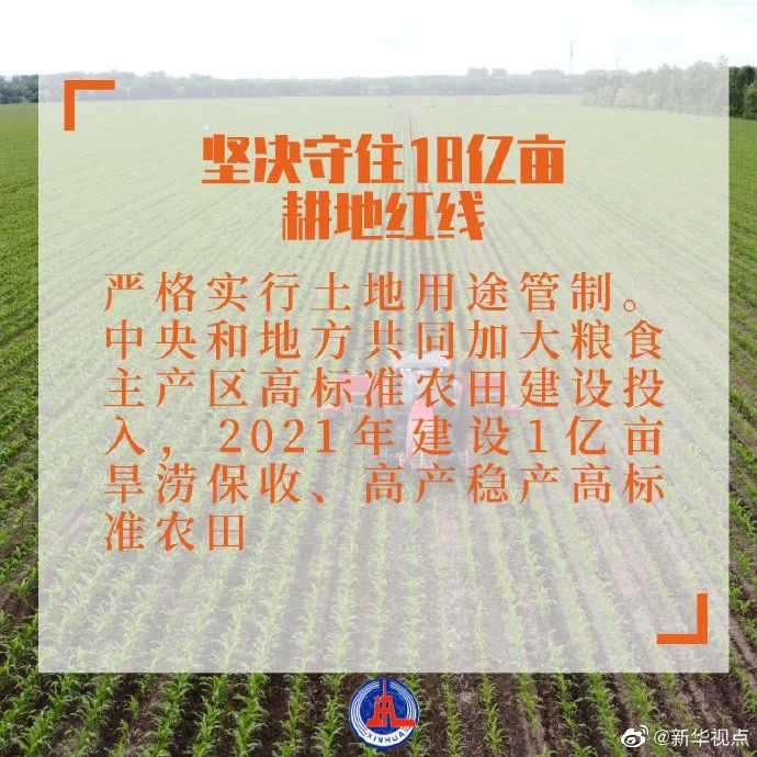 干貨滿滿！2021年中央一號文件發布，有哪些硬舉措？