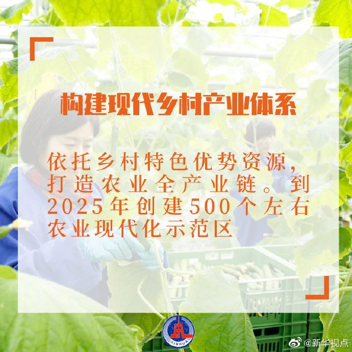 干貨滿滿！2021年中央一號文件發布，有哪些硬舉措？