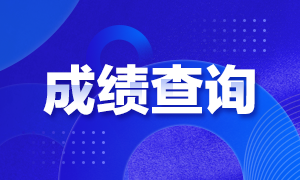 2020河南CPA成績查詢時間公布了