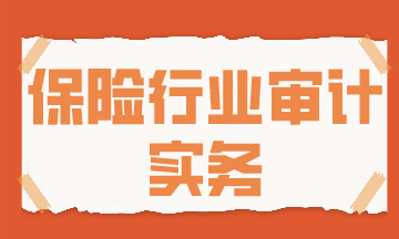 保險行業(yè)審計實務(wù)，你了解了嗎