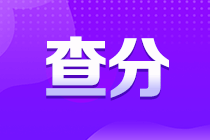 廣西2022年初級會計成績查分入口你了解嗎？