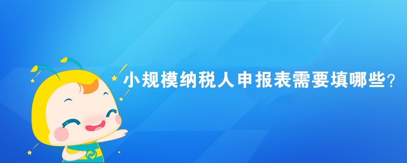 小規模納稅人申報表需要填哪些？