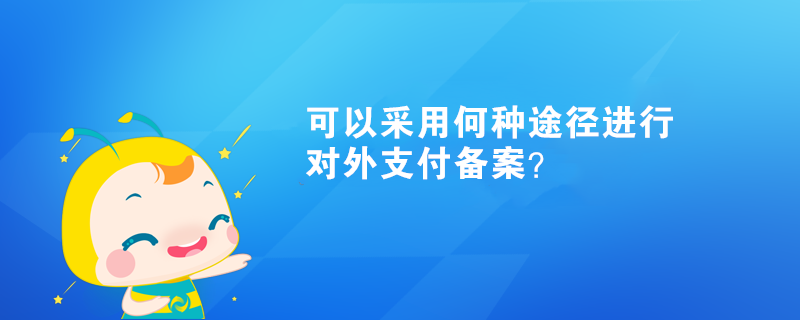 可以采用何種途徑進(jìn)行對外支付備案？