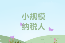小規模納稅人免征增值稅政策的月銷售額如何規定？
