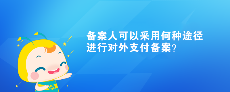 備案人可以采用何種途徑進行對外支付備案？