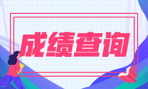 成績查詢時間早知道 廣東東莞CPA考生快來了解！