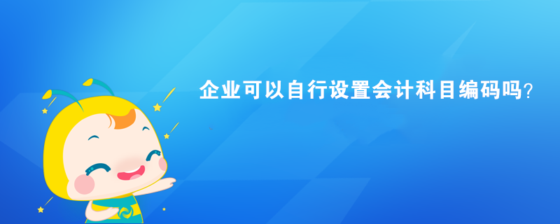 企業(yè)可以自行設(shè)置會計科目編碼嗎？