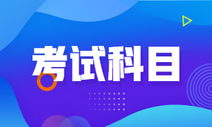 陜西延安2022年初級會計職稱考試有哪些科目？