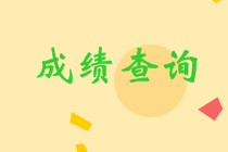 陜西cpa考試查分時間確定了嗎？