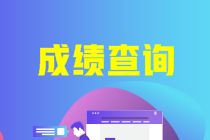 福建2021cpa查分入口開通啦！速來查分！