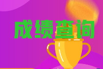 陜西2021年注冊會計師成績查詢入口在哪？