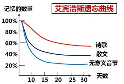 “注會知識點學完就忘怎么辦？如何能提高記憶力？