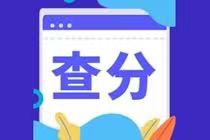2022年安徽初級會計考試成績查詢官網是什么？