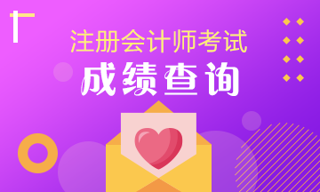 青海CPA注會考試成績查詢！