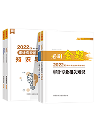 必刷金題+知識導圖-審計專業相關知識+審計理論與實務2