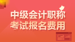 中級會計(jì)考試報(bào)名費(fèi)用 中級會計(jì)考試報(bào)名費(fèi)用