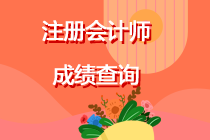 注冊(cè)會(huì)計(jì)師考試成績(jī)能查了？