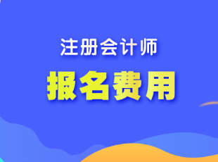注冊會計師報名條件和費用是多少？