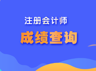 注會考試成績什么時候出？
