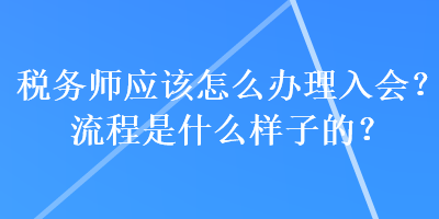 稅務師應該怎么辦理入會？流程是什么樣子的？