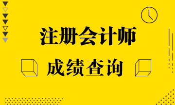 廣東省注會成績查詢入口是什么？