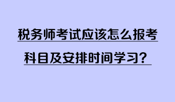 稅務(wù)師考試應(yīng)該怎么報(bào)考科目及安排時(shí)間學(xué)習(xí)？