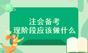 注冊會計師備考現階段應該怎么做呢？